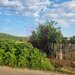 GIURGIU - SE VINDE TEREN 2150 MP IN SAT TEISORI