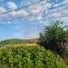 GIURGIU - SE VINDE TEREN 2150 MP IN SAT TEISORI