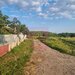 GIURGIU - SE VINDE TEREN 2150 MP IN SAT TEISORI